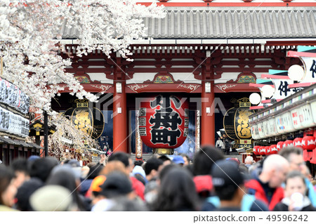 Tokyo cityscape in Japan Sakura and Sensoji Temple in full bloom Tokyo cityscape in Japan Sakura and Sensoji Temple in full bloom 49596242