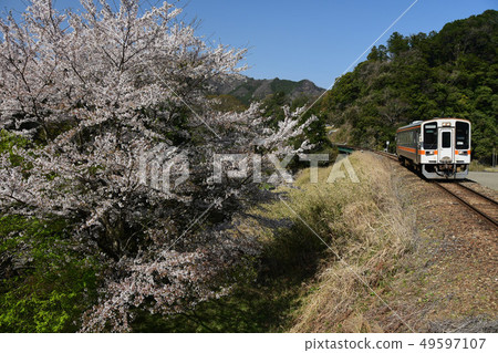 Namatsu Line Ise Sakura Sakura 49597107