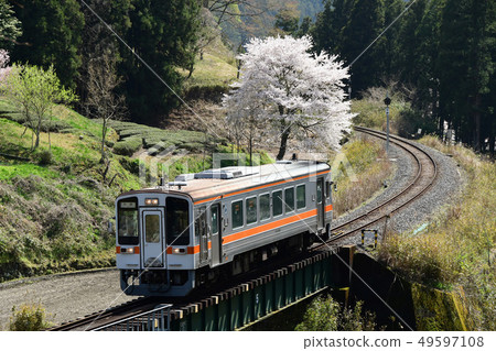 Namatsu Line Ise Sakura Sakura 49597108