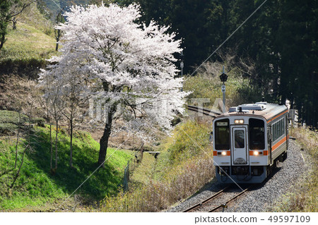 Namatsu Line Ise Sakura Sakura Namatsu Line Ise Sakura Sakura 49597109