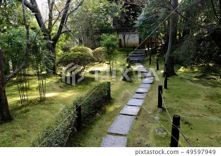 苔蘚花園 49597949