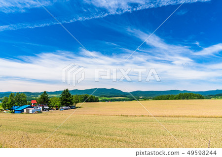 "Hokkaido" summer sky and rural scenery, Kamifurano 49598244