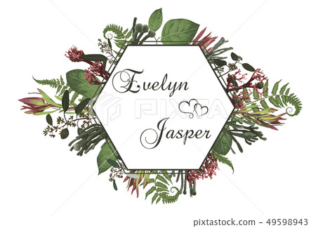 Plants, leaves, branches, brunia, blooming Plants, leaves, branches, brunia, blooming 49598943