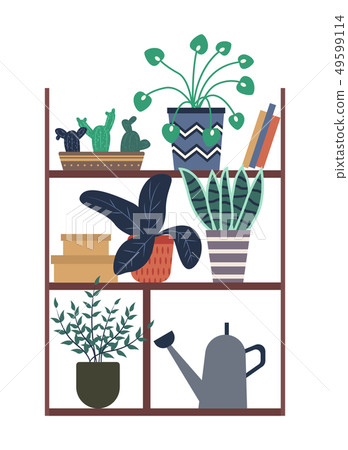 Houseplants Standing on Shelf with Books and Box 49599114