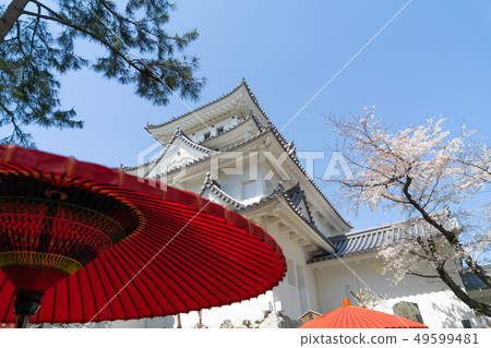 Ogaki Castle 1249 Ogaki Castle 1249 49599481
