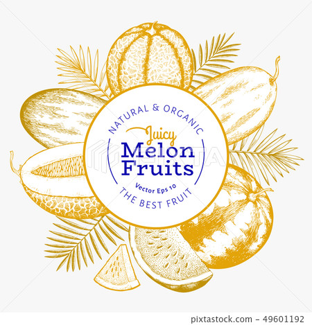 Melons and watermelons with tropical leaves design 49601192