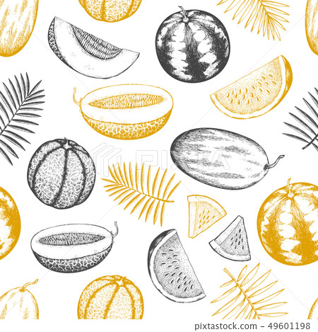 Melons and watermelons with tropical leaves 49601198
