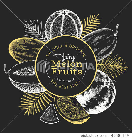 Melons and watermelons with tropical leaves design 49601199