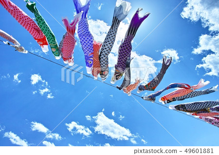 Swimming Carp streamer Sagami River Swimming Carp streamer Sagami River 49601881