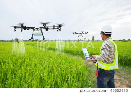Man control agriculture drone on rice fields 49602350