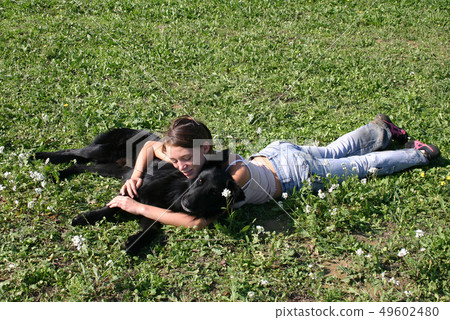 teen and belgian shepherd 49602480