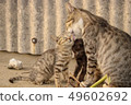 Family love 49602692