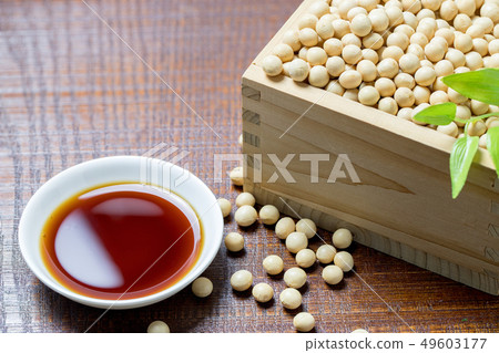 Soy and soybeans 49603177