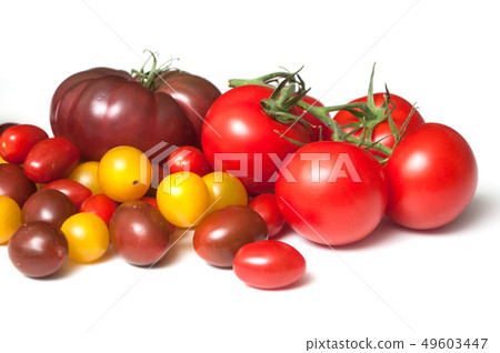 group of various tomatoes en white background 49603447