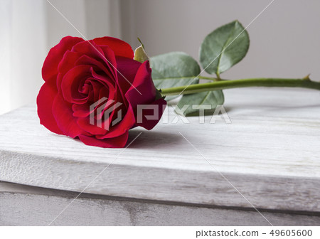 Red rose on vintage cabinet Red rose on vintage cabinet 49605600