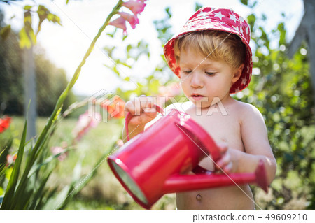Small boy with can outdoors in garden in summer, watering flowers. 49609210