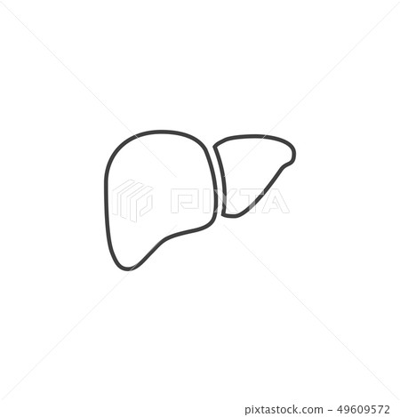 Liver Vector Line Icons - Stock Illustration [49609572] - PIXTA