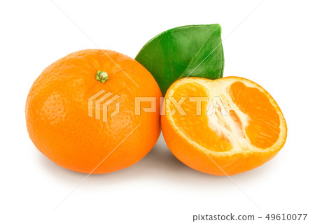 tangerine or mandarin fruit with leaves isolated on white background tangerine or mandarin fruit with leaves isolated on white background 49610077