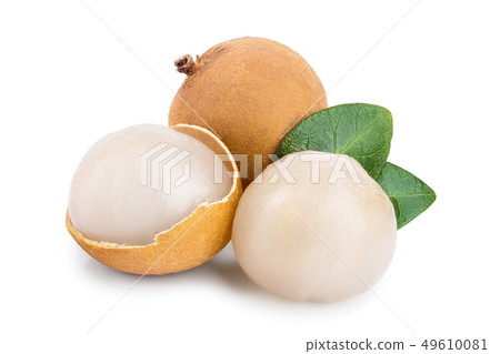 Fresh longan fruit with leaves isolated on white background Fresh longan fruit with leaves isolated on white background 49610081