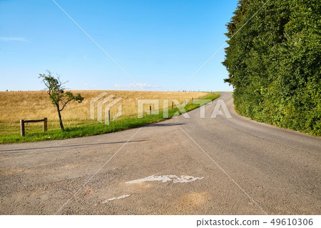 Road through farmlands Road through farmlands 49610306
