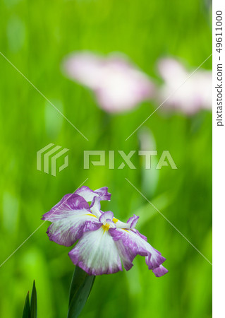 Flower shovel 49611000