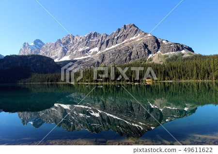 Canada_Lake O'Hara_6 Canada_Lake O'Hara_6 49611622