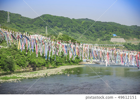 [相模河游泳鯉魚飄帶] 49612151