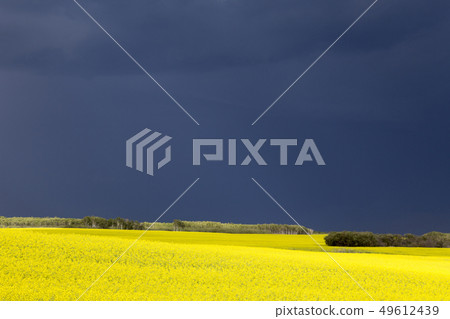 Prairie Storm Clouds 49612439