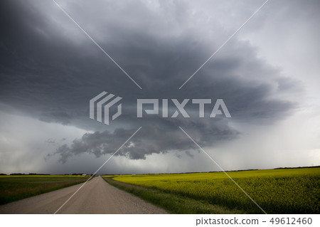 Prairie Storm Clouds Prairie Storm Clouds 49612460