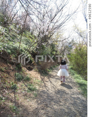 Spring walk 3 49612590