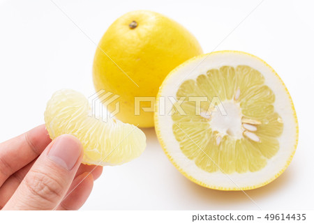 Pearl bales peeled large Tachibana sour pomero color subjectivity ver 49614435