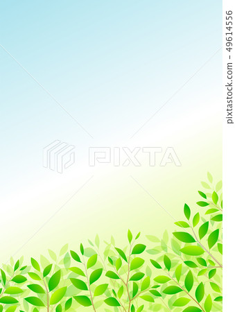 背景材料_木葉若葉青葉鮮綠 49614556
