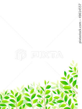 背景材料_木葉若葉青葉鮮綠 49614557