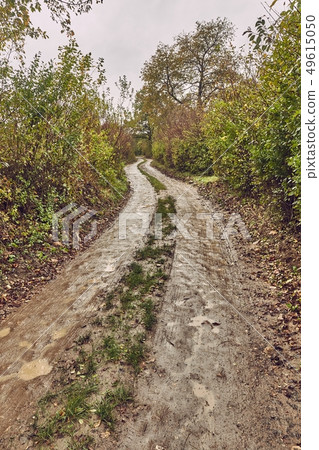 Dirtroad in the countryside 49615050