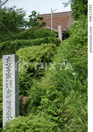 Tottori Four seasons walk Summer Hydrangea Tokoji Temple 49615485