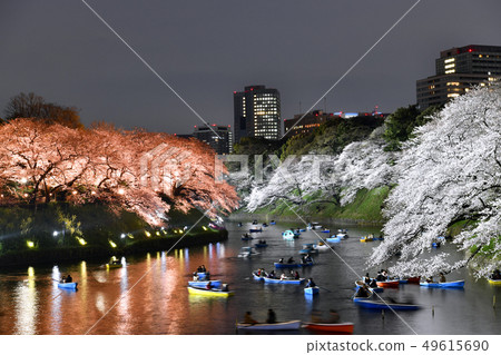 Tokyo cityscape in Japan Chidori-ga-bei, the last cherry blossoms of the Heisei period (Hawami by boat), night view 49615690