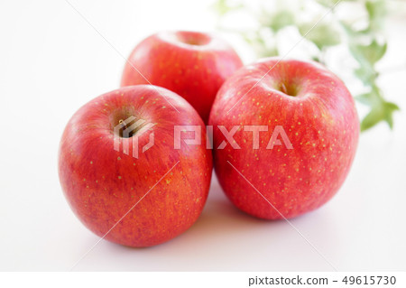 Applesang富士 49615730