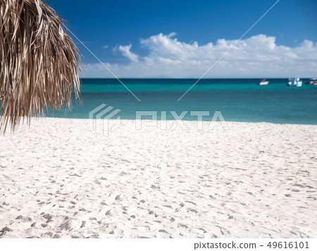 Tropical shore with thatched palapa. View on 49616101