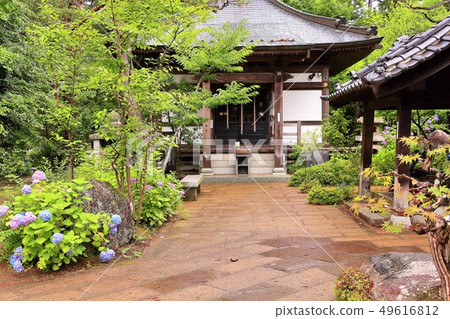 Shifukuji that gets wet in the rain 49616812