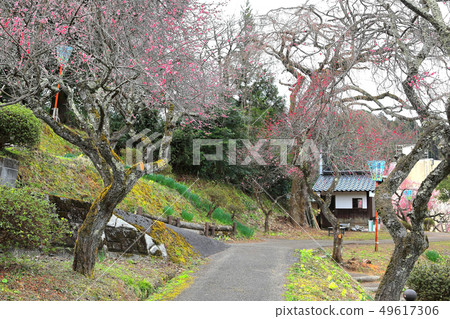 Yudagawa溫泉Umebayashi公園 Yudagawa溫泉Umebayashi公園 49617306