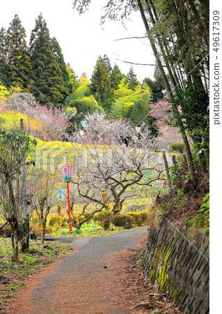 Yudagawa溫泉Umebayashi公園 Yudagawa溫泉Umebayashi公園 49617309