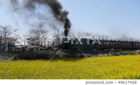 Shino Moka SL 49617488