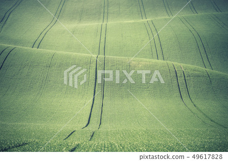 Landscape with Green Hills Landscape with Green Hills 49617828