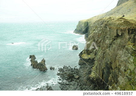 Neat point Neat point 49618937