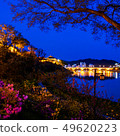 Jinju castle spring night view 49620223