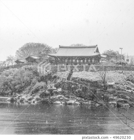 珠光體花崗岩 49620230