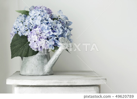 Hydrangea flowers in grunge zinc watering can on 49620789