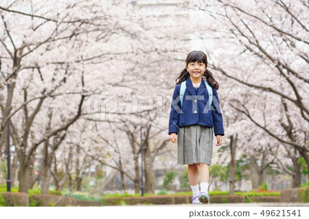 Cherry blossoms Cherry blossoms 49621541