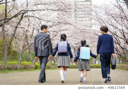 Cherry blossoms 49621564