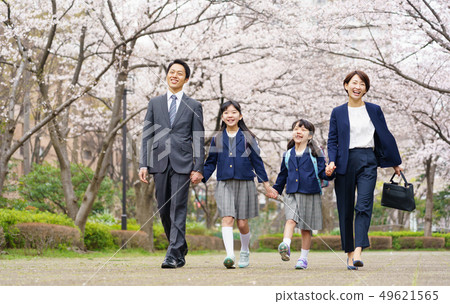 Cherry blossoms 49621565